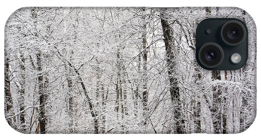 Trees iPhone Case featuring the photograph White Winter World by Nancy De Flon