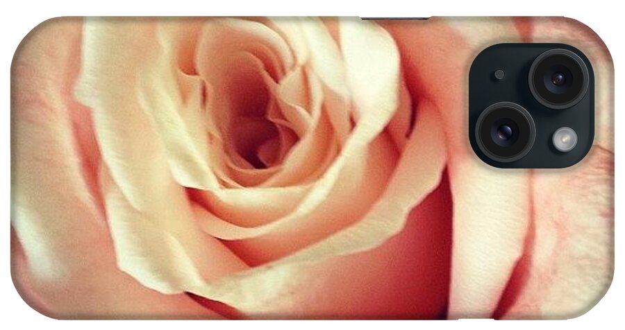 Beautiful iPhone Case featuring the photograph #whiterose #rose #flower #bloom #pretty by Amber Campanaro