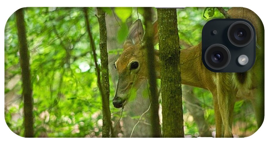 Whitetail Deer iPhone Case featuring the photograph Discovered by Dennis Baswell