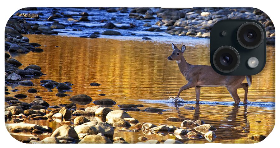 Whitetail Doe iPhone Case featuring the photograph Whitetail Doe Crossing the Buffalo National River by Michael Dougherty