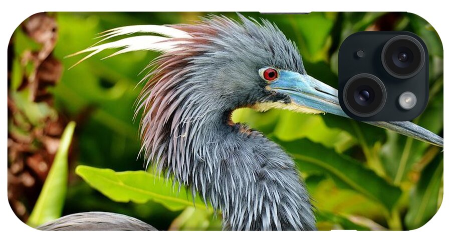 Tri Color Heron iPhone Case featuring the photograph It's all about that color by Julie Adair