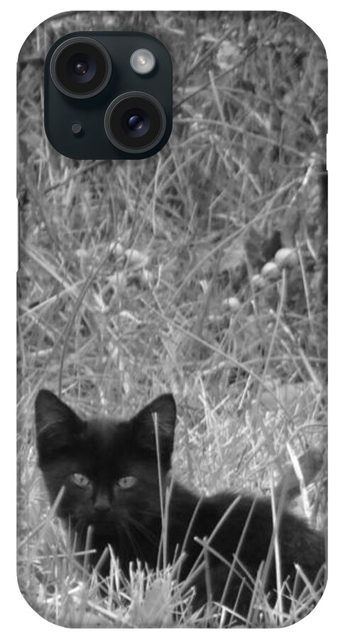 Cat iPhone Case featuring the photograph Wild Baby by Dark Whimsy