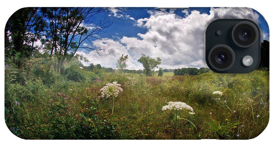 Wild Flower iPhone Case featuring the photograph Wild Flower Ver -1 by Larry Mulvehill