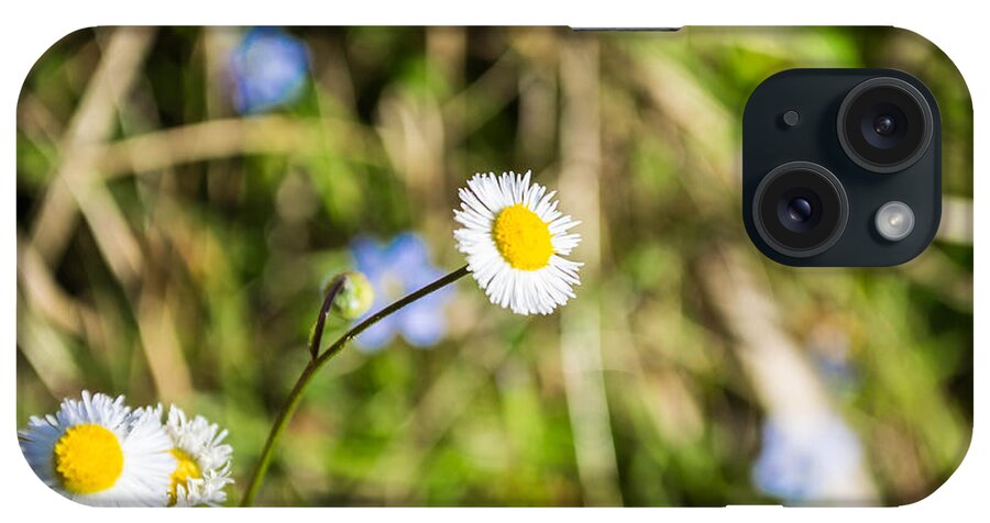 Flowers iPhone Case featuring the photograph Wild Flowers 1 by Shannon Harrington