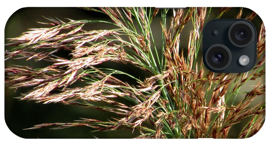 Wild Grass iPhone Case featuring the photograph Wild Grasses I by Kimberly Mackowski
