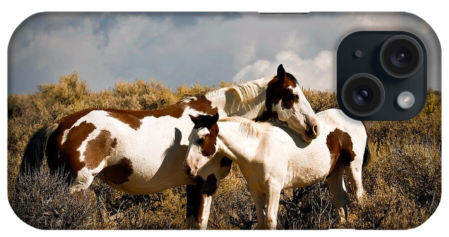 Horses iPhone Case featuring the photograph Wild Horses Mother and Child by Steve McKinzie