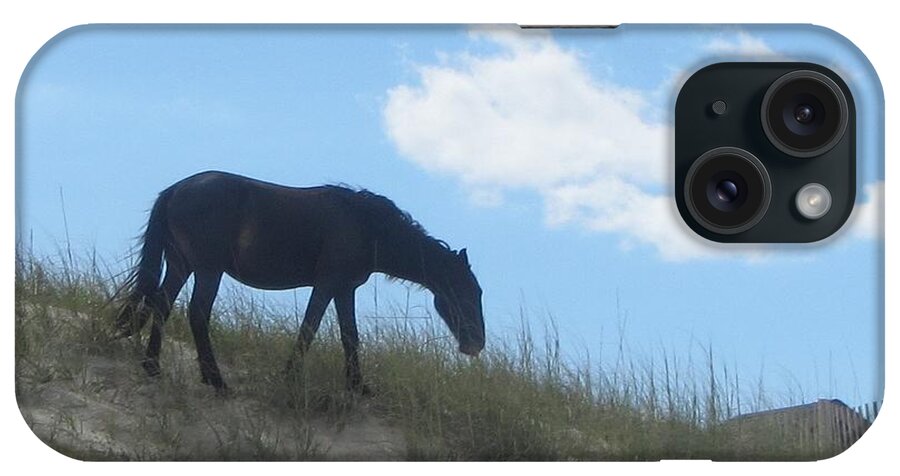 Horses iPhone Case featuring the photograph Wild Horses of Corolla 3 by Cathy Lindsey