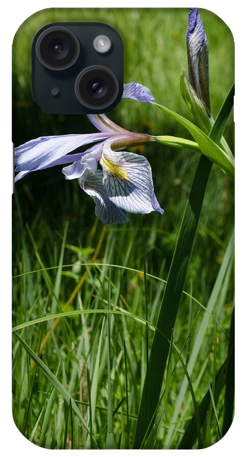 Dakota iPhone Case featuring the photograph Wild Iris by Greni Graph