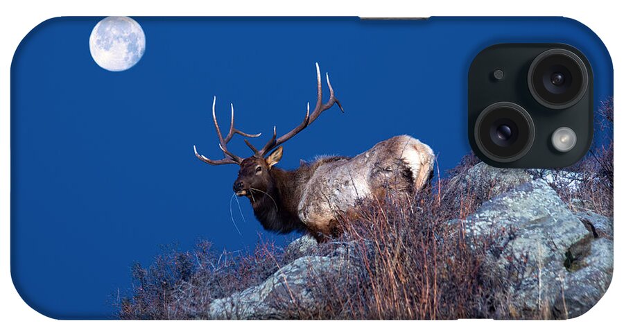 Elk iPhone Case featuring the photograph Wild Moon by Shane Bechler