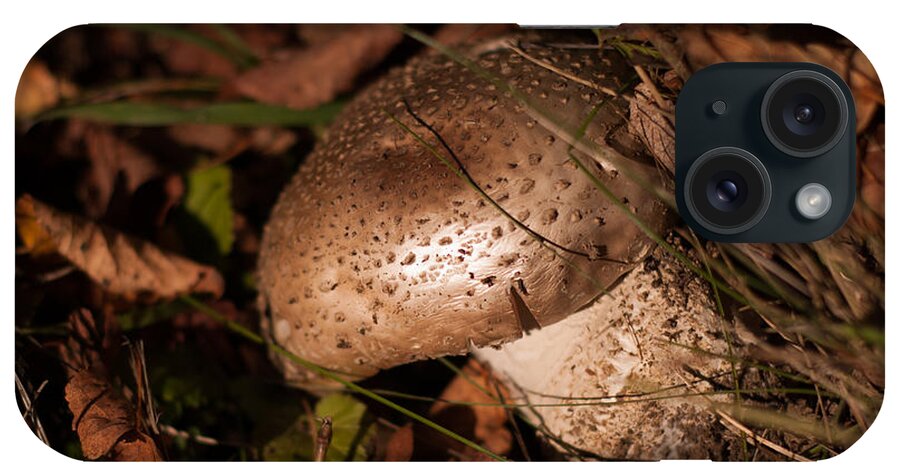 Mushroom iPhone Case featuring the photograph Wild Mushroom by Miguel Winterpacht