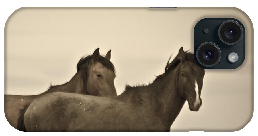Horses iPhone Case featuring the photograph Wild Mustangs of New Mexico 3 by Catherine Sobredo