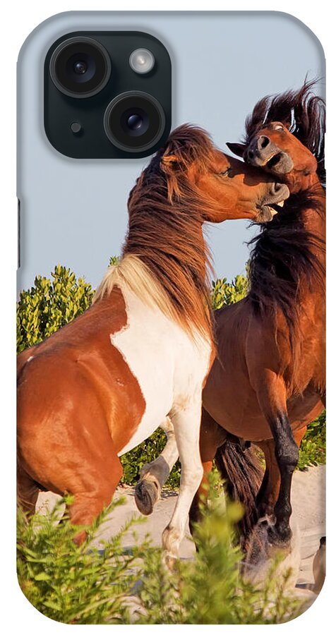 Two iPhone Case featuring the photograph Wild ponies at play by Jack Nevitt