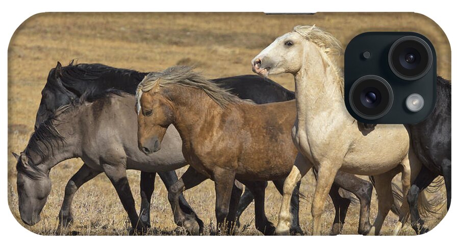 00537206 iPhone Case featuring the photograph Wild Stallion Herd Pryor Mountain by Yva Momatiuk and John Eastcott