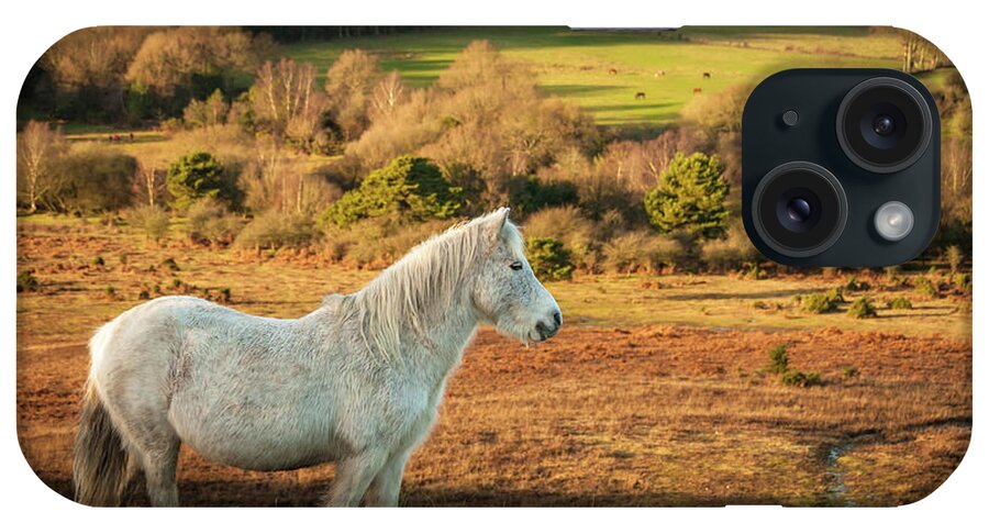 Horse iPhone Case featuring the photograph Wild White Mare In Field, New Forest by Li Kim Goh
