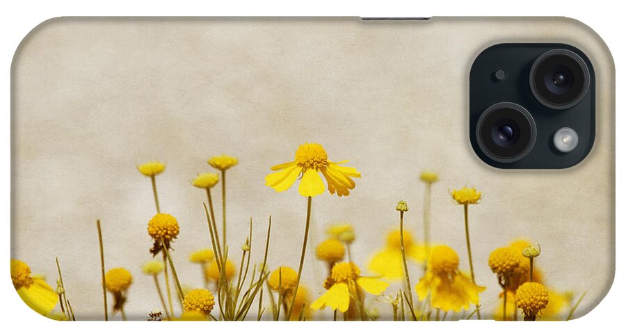 Yellow Flower iPhone Case featuring the photograph Wildflower Daisies by Kim Hojnacki