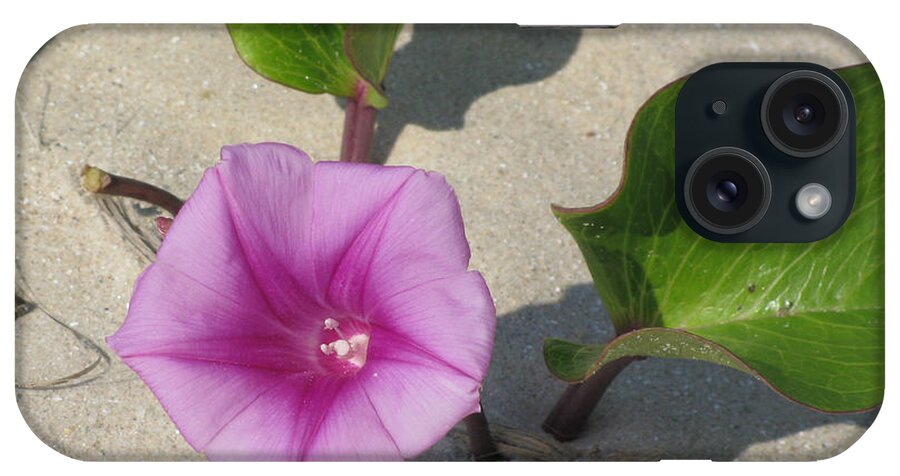 Wildflower iPhone Case featuring the photograph Wildflower on the Beach by Jimmie Bartlett