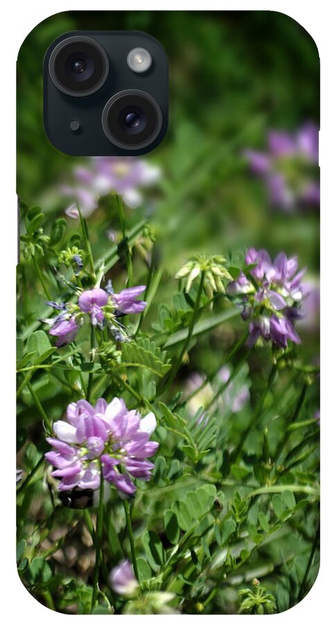 Wildflowers iPhone Case featuring the photograph Wildflowers by George Taylor