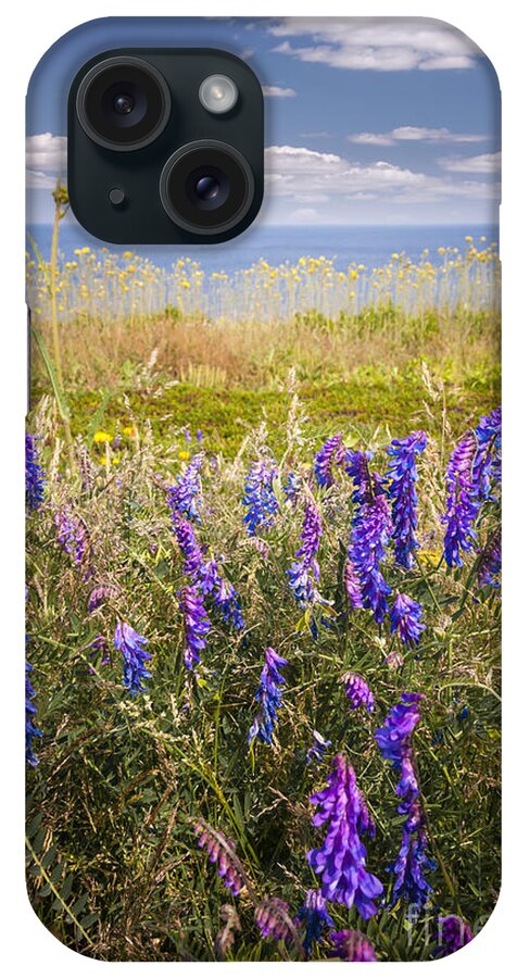 Wildflowers iPhone Case featuring the photograph Wildflowers on ocean coast by Elena Elisseeva