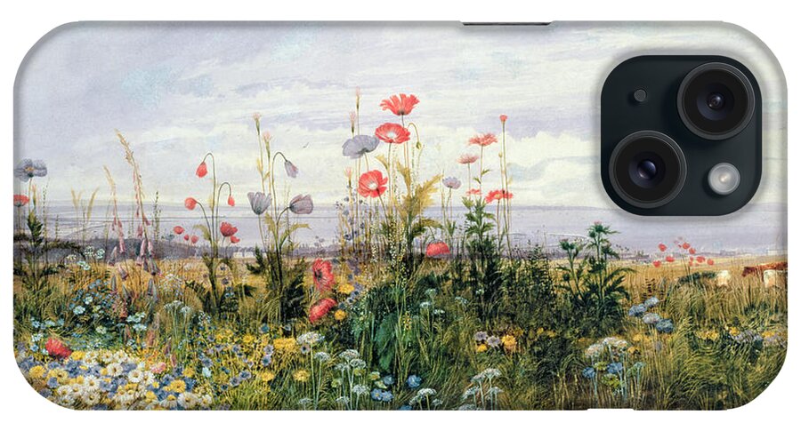 Meadow; Flowers; Irish; Wild; Landscape; Poppies iPhone Case featuring the painting Wildflowers with a View of Dublin Dunleary by A Nicholl