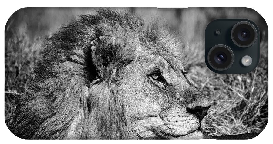 Art iPhone Case featuring the photograph Wildlife Lion by Gigi Ebert