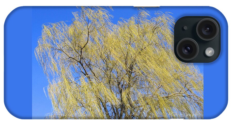 Willow iPhone Case featuring the photograph Wind in a Willow by Ann Horn