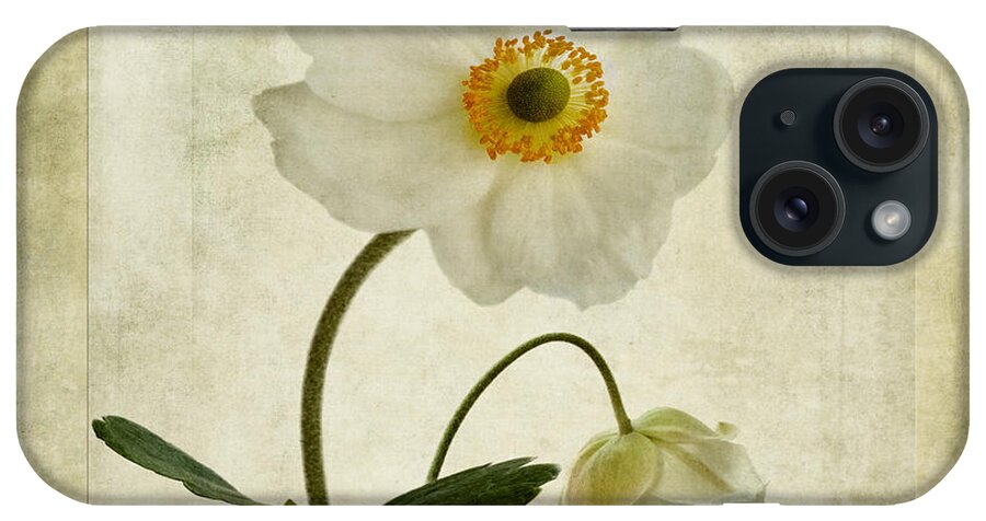 Japanese Windflowers iPhone Case featuring the photograph Windflowers by John Edwards