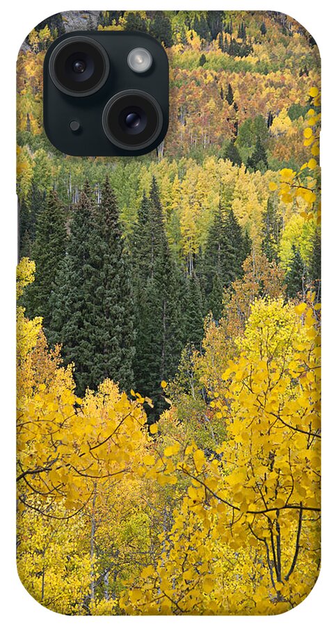 Autumn iPhone Case featuring the photograph Window to Autumn Splendor by Morris McClung