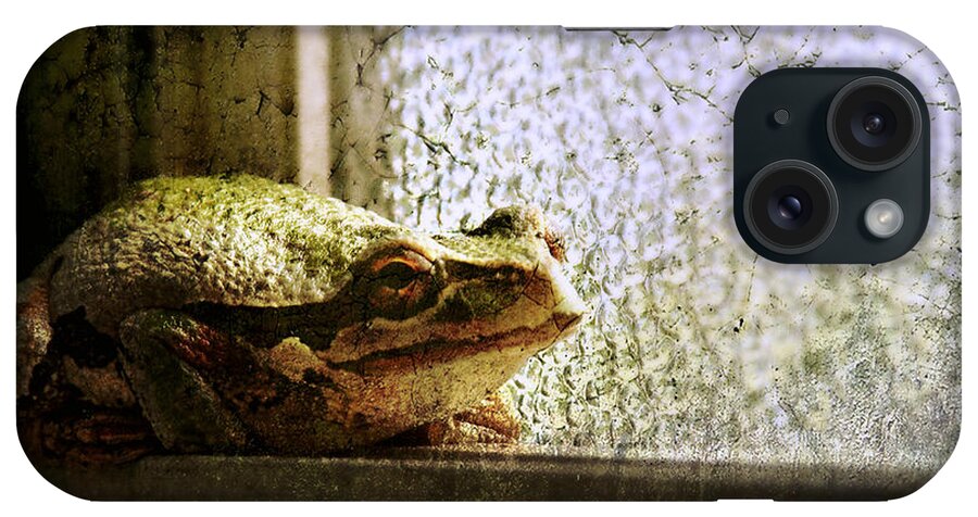 Frog iPhone Case featuring the photograph Windowsill Visitor by Micki Findlay