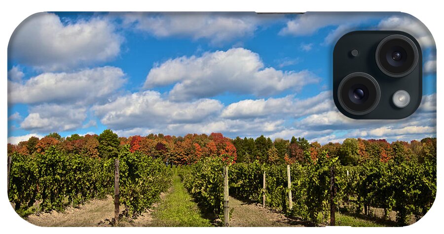 Finger Lakes iPhone Case featuring the photograph Wine in Waiting by William Norton