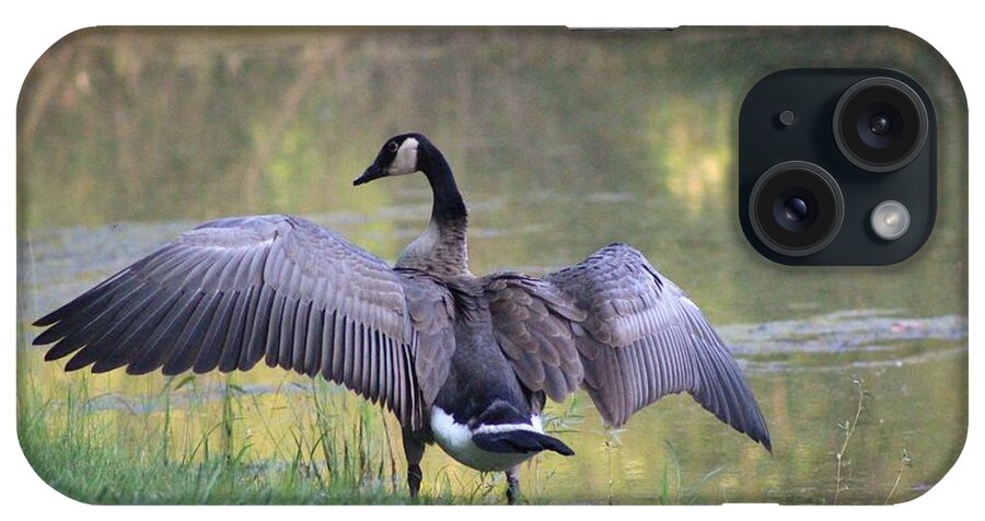 Canadian Goose iPhone Case featuring the photograph Wing Span by Lorna Rose Marie Mills DBA Lorna Rogers Photography