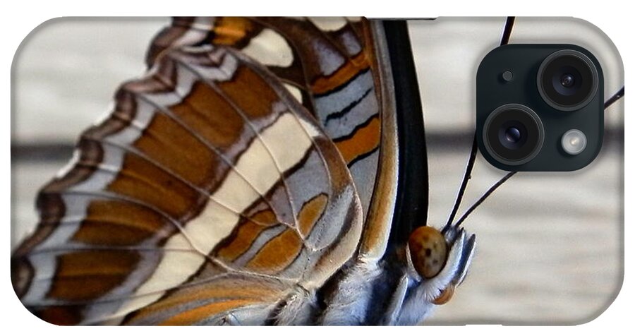 Butterfly iPhone Case featuring the photograph Winged Beauty front view by William McCoy