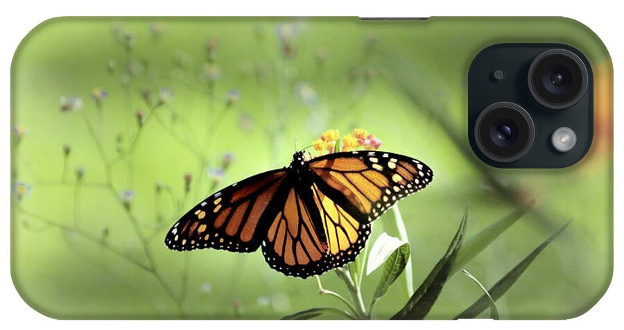 Monarch Photograph Print iPhone Case featuring the photograph Wings In Soft Green by Lucy VanSwearingen