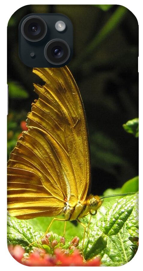 Wings iPhone Case featuring the photograph Wings of Gold by Jennifer Wheatley Wolf