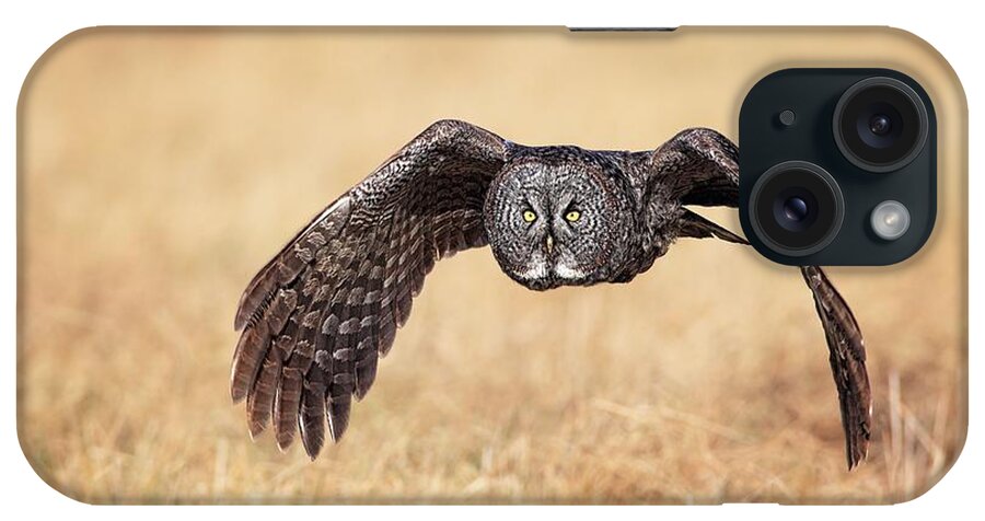 Great Grey Owl iPhone Case featuring the photograph Wings of Motion by Daniel Behm