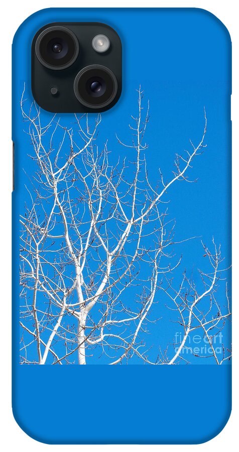 Winter iPhone Case featuring the photograph Winter by Ann Horn