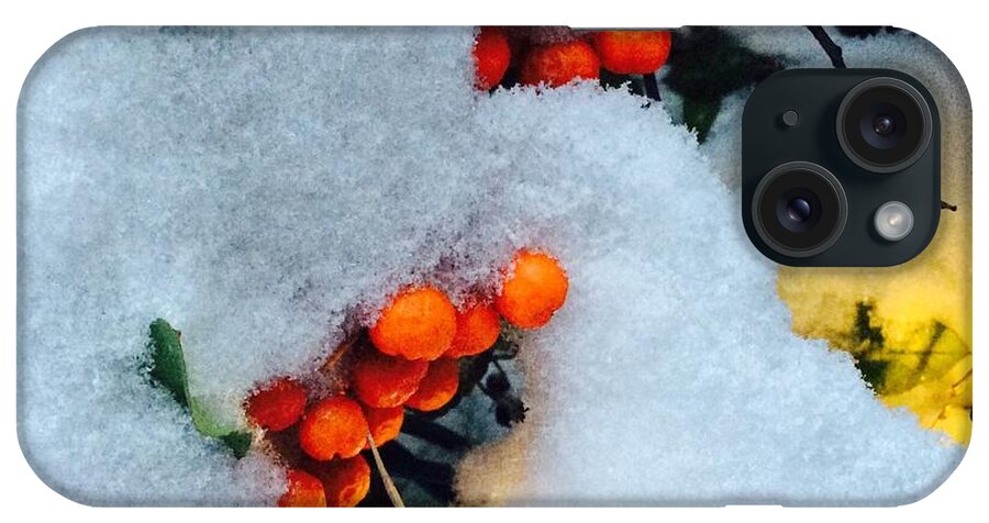 Winter iPhone Case featuring the photograph Winter Berries by Kate Gibson Oswald