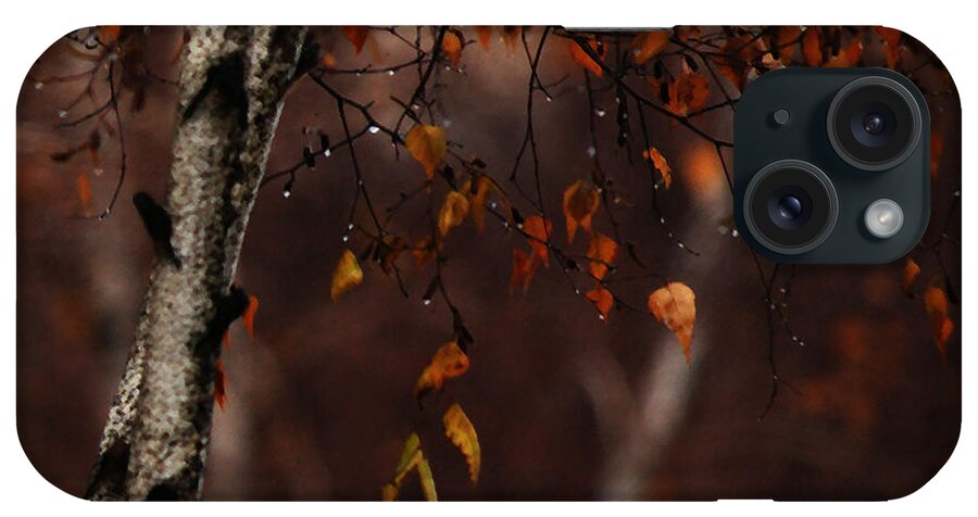 Tree iPhone Case featuring the photograph Winter Birch by Linda Shafer