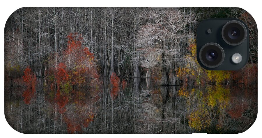 Dead Lakes iPhone Case featuring the photograph Winter Colors at Dead Lakes by Jurgen Lorenzen