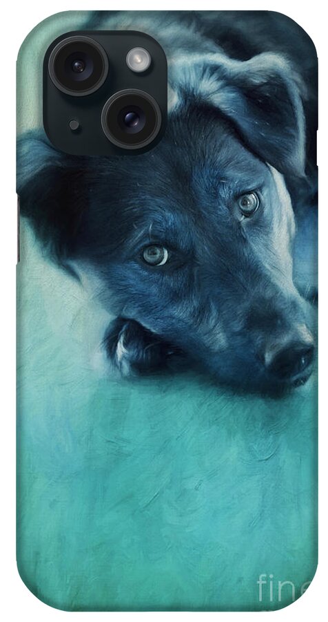 Dog iPhone Case featuring the photograph Winter Dog by Priska Wettstein