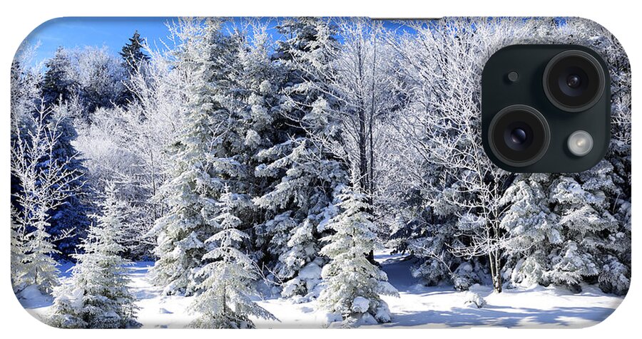 Winter iPhone Case featuring the photograph Winter Frosted Trees by Thomas R Fletcher