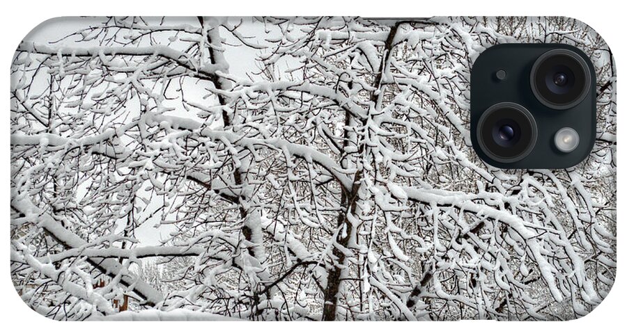 Winter iPhone Case featuring the photograph Winter in the Heartland 1 by Deborah Smolinske