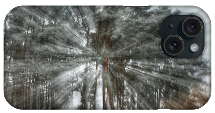 Tree iPhone Case featuring the photograph Winter light in a forest by Iryna Liveoak