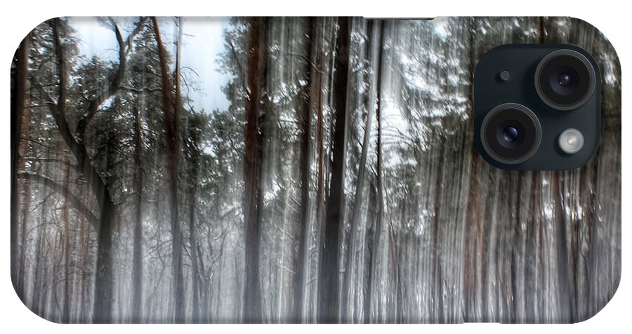 Tree iPhone Case featuring the photograph Winter light in a forest with dancing trees by Iryna Liveoak