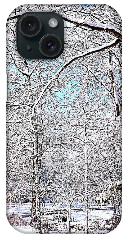 Snow iPhone Case featuring the photograph Winter On A Spring Day by Pamela Hyde Wilson
