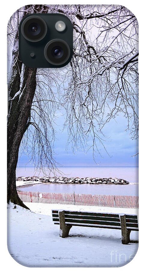 Winter iPhone Case featuring the photograph Winter park in Toronto 2 by Elena Elisseeva