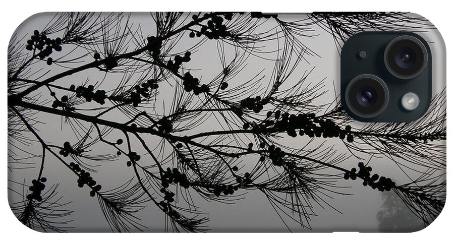 Pine iPhone Case featuring the photograph Winter pine branch by Bev Conover