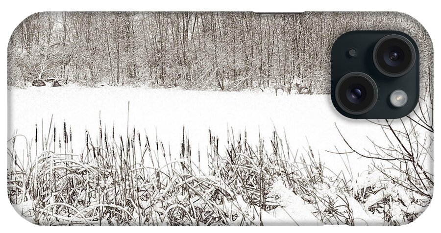 Winter iPhone Case featuring the photograph Winter Pond by Lynn Hansen