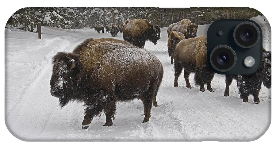 Buffalo iPhone Case featuring the photograph Winter Procession-Signed by J L Woody Wooden