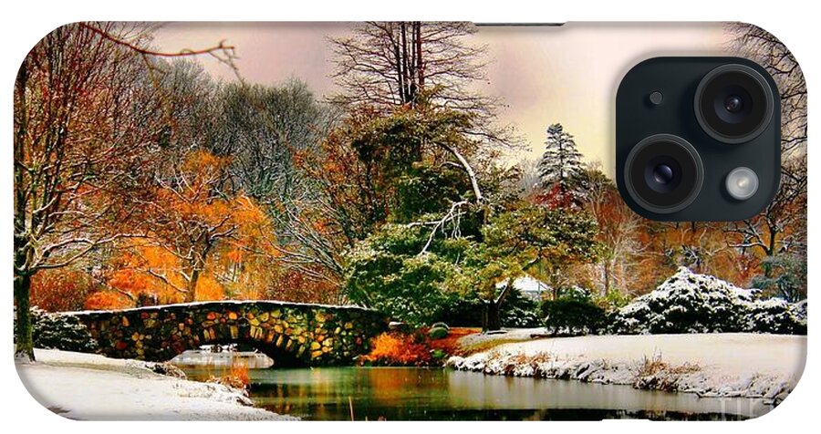 Fall Color iPhone Case featuring the photograph Winter Reflection by Judy Palkimas