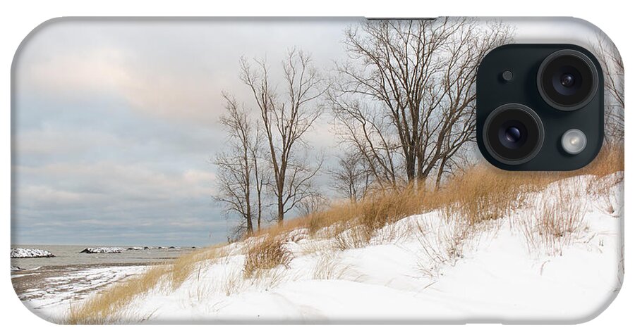 Winter Seascape Canvas Print iPhone Case featuring the photograph Winter Sand Dune by Karen English